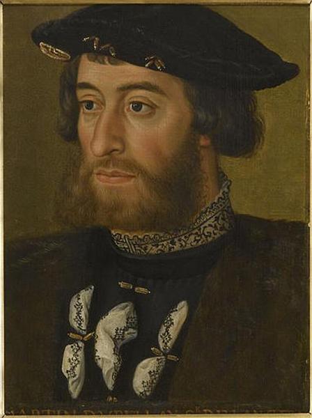 portrait of Guillaume du Bellay